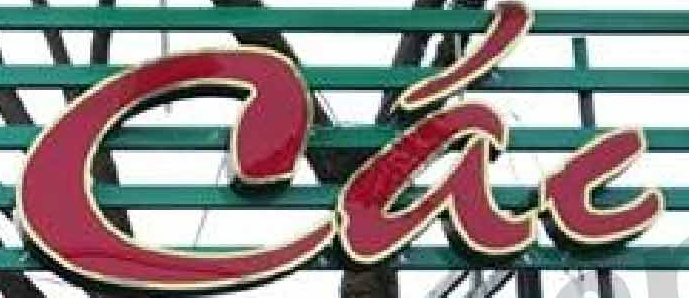 Cúc